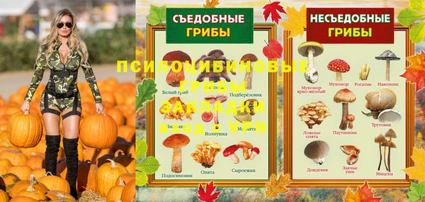 хмурый Гатчина