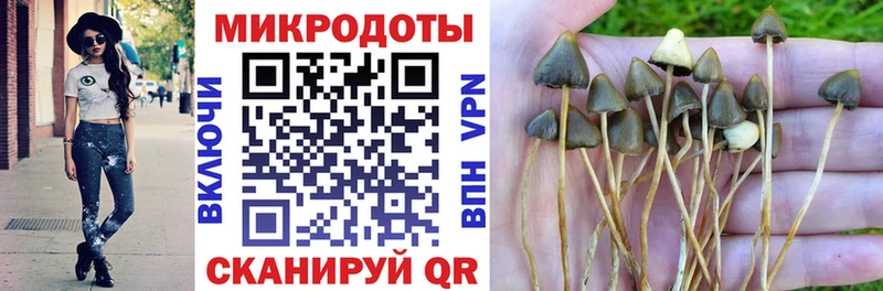 OMG ССЫЛКА  Кадников  Галлюциногенные грибы мухоморы  где купить наркоту 